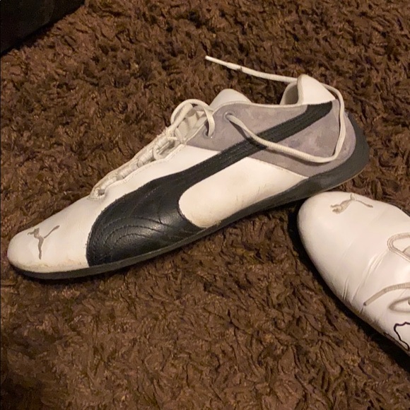 Puma - Picture 2 of 4